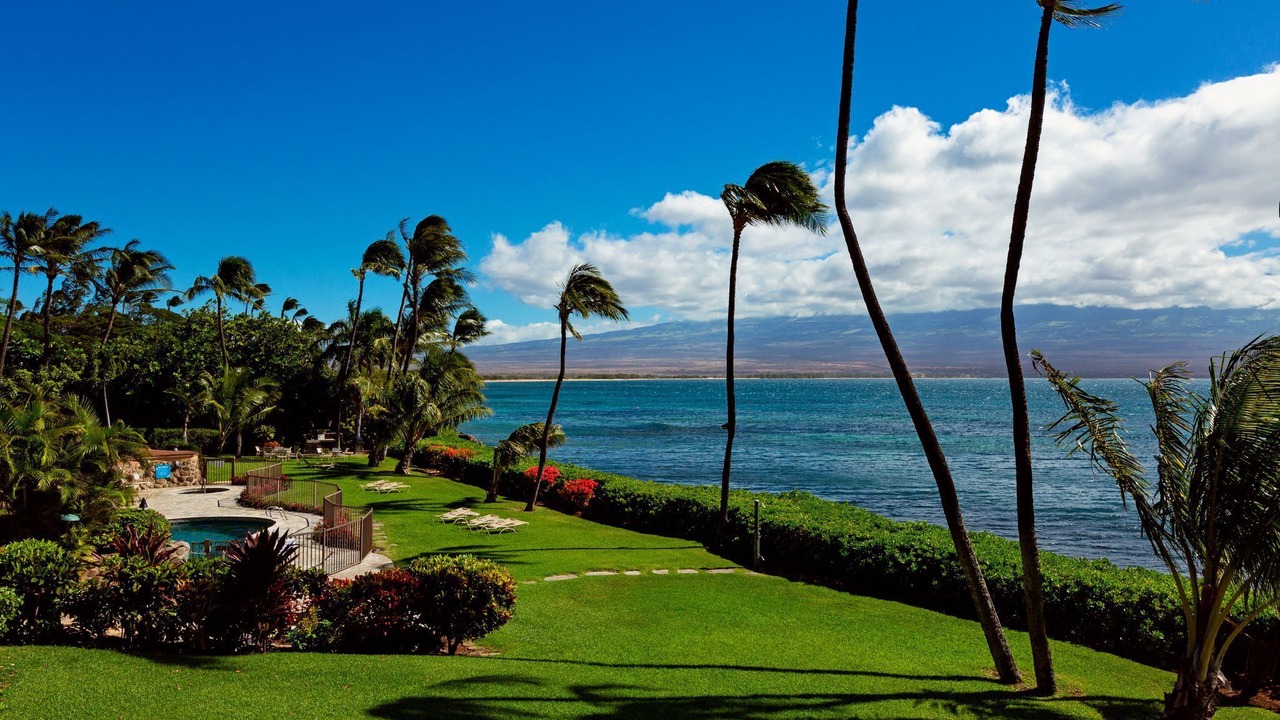Photo of Others in Maalaea