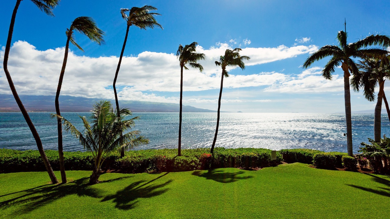 Photo of Outdoor in Maalaea