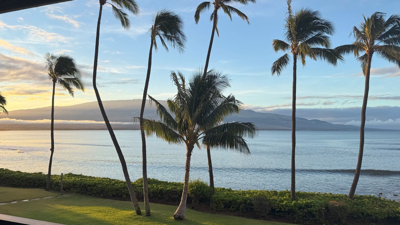 Photo of Others in Maalaea
