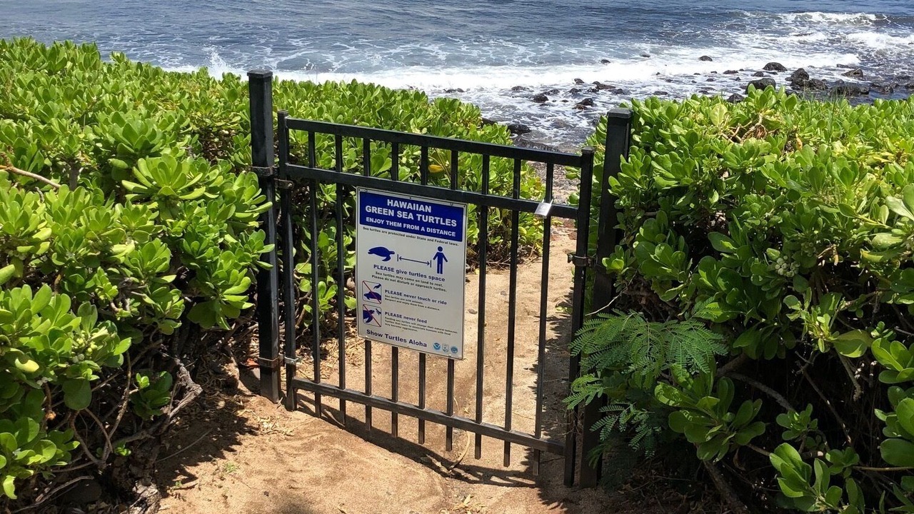 Photo of Others in Maalaea