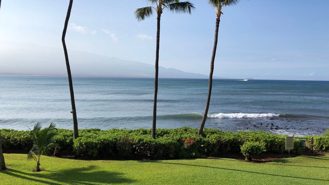 Photo of Others in Maalaea