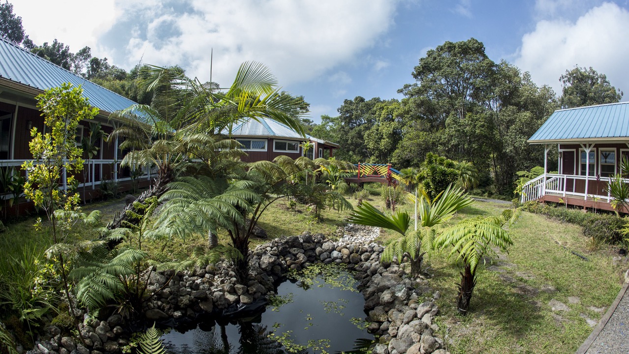 Photo of Others in Honokaa