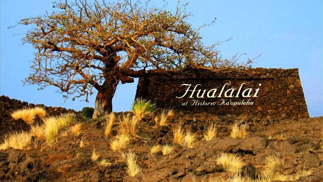 Photo of Others in Kaupulehu
