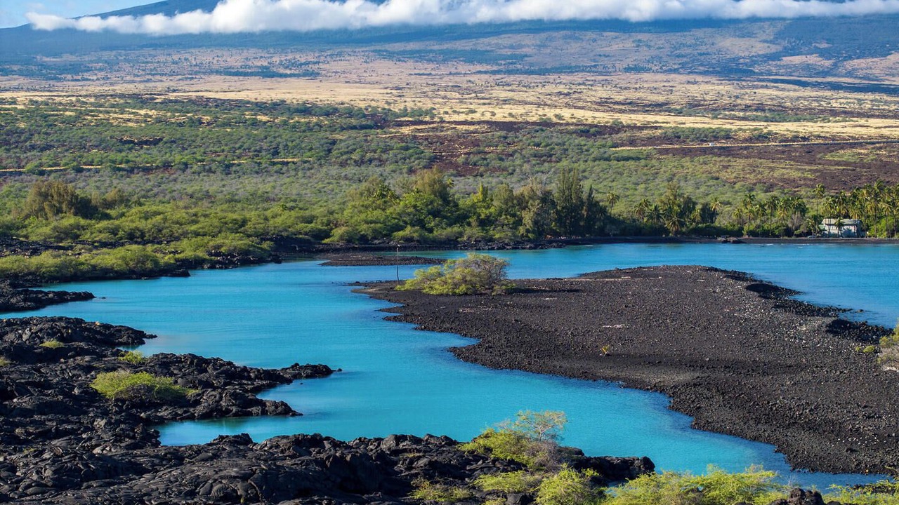 Photo of Others in Kaupulehu
