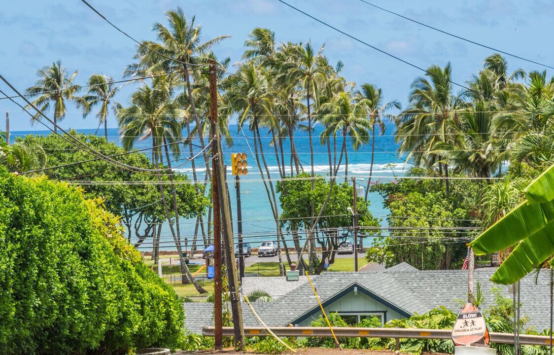 Photo of Outdoor in Ka'a'awa