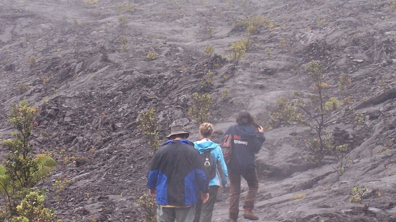 Photo of Others in Orchidlands Estates