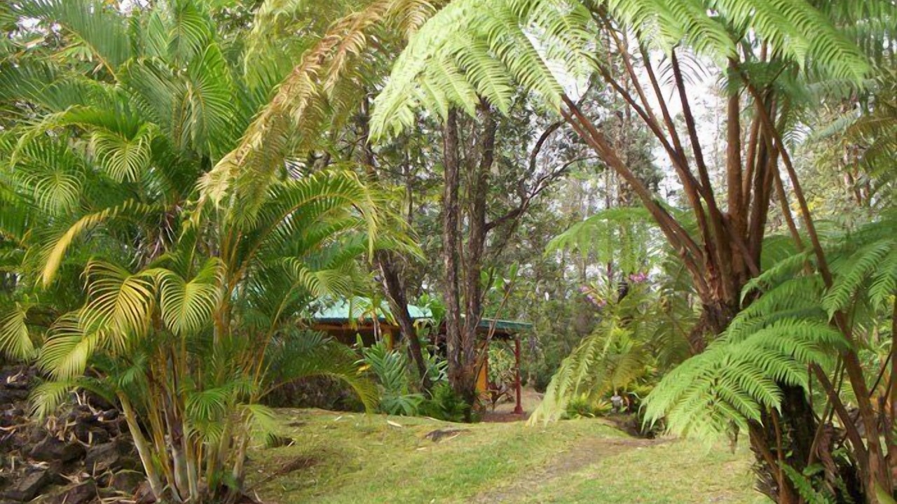 Photo of Others in Orchidlands Estates