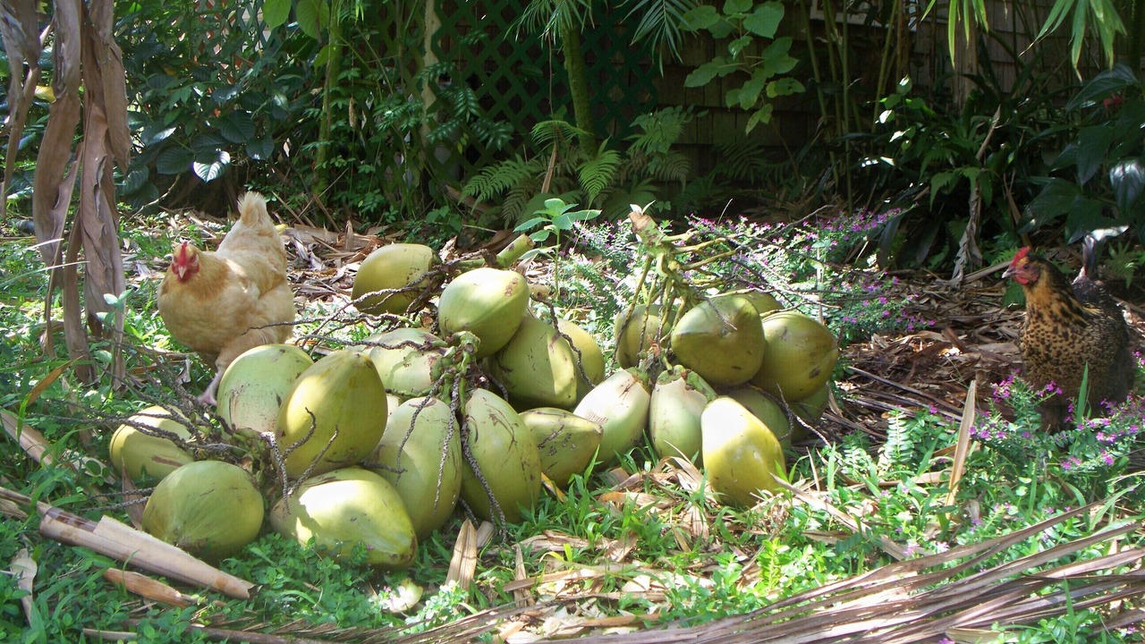Photo of Others in Orchidlands Estates