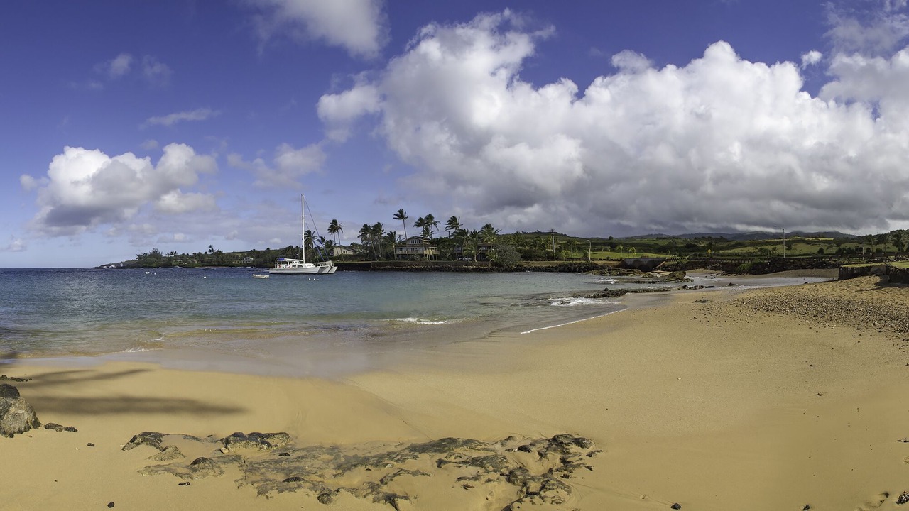 Photo of Others in Poipu
