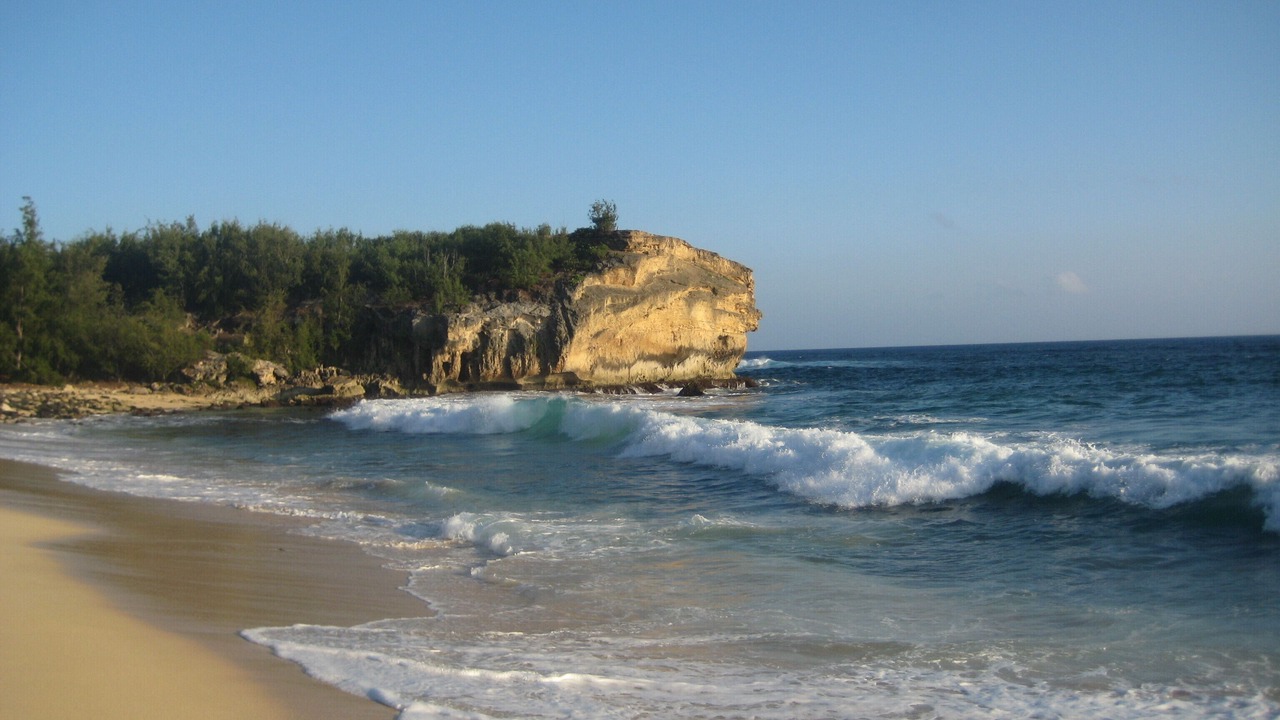 Photo of Others in Poipu