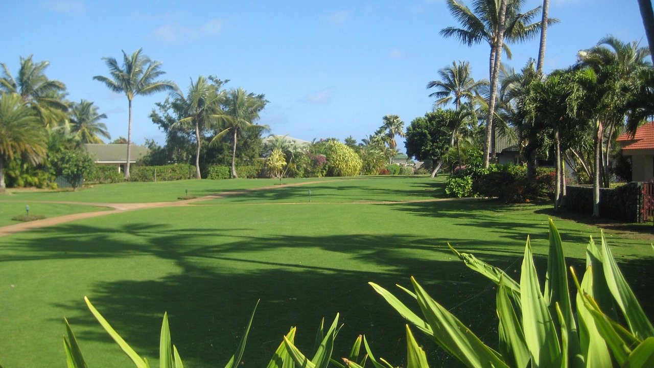Photo of Others in Poipu