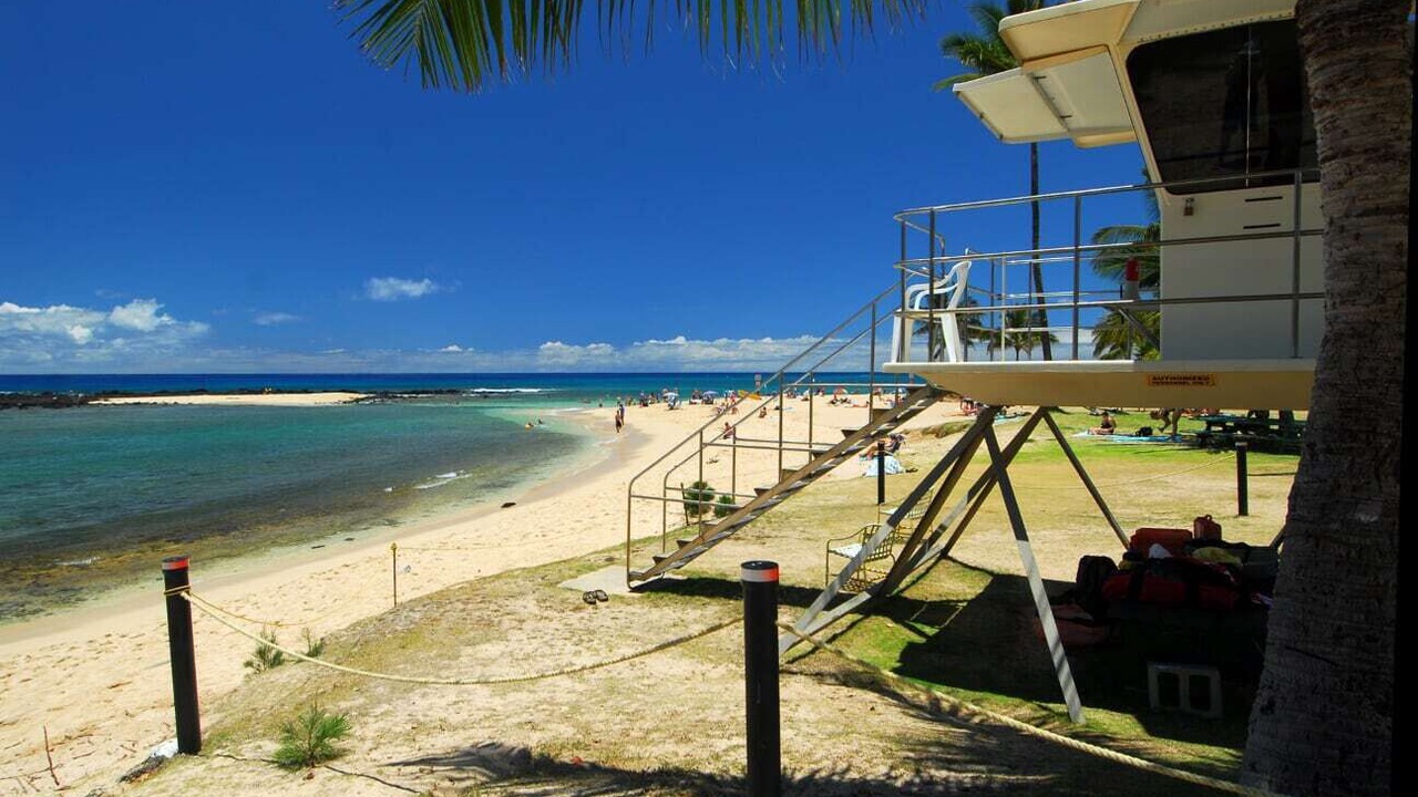 Photo of Others in Poipu
