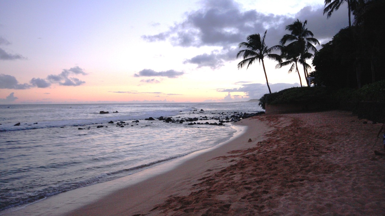 Photo of Others in Poipu