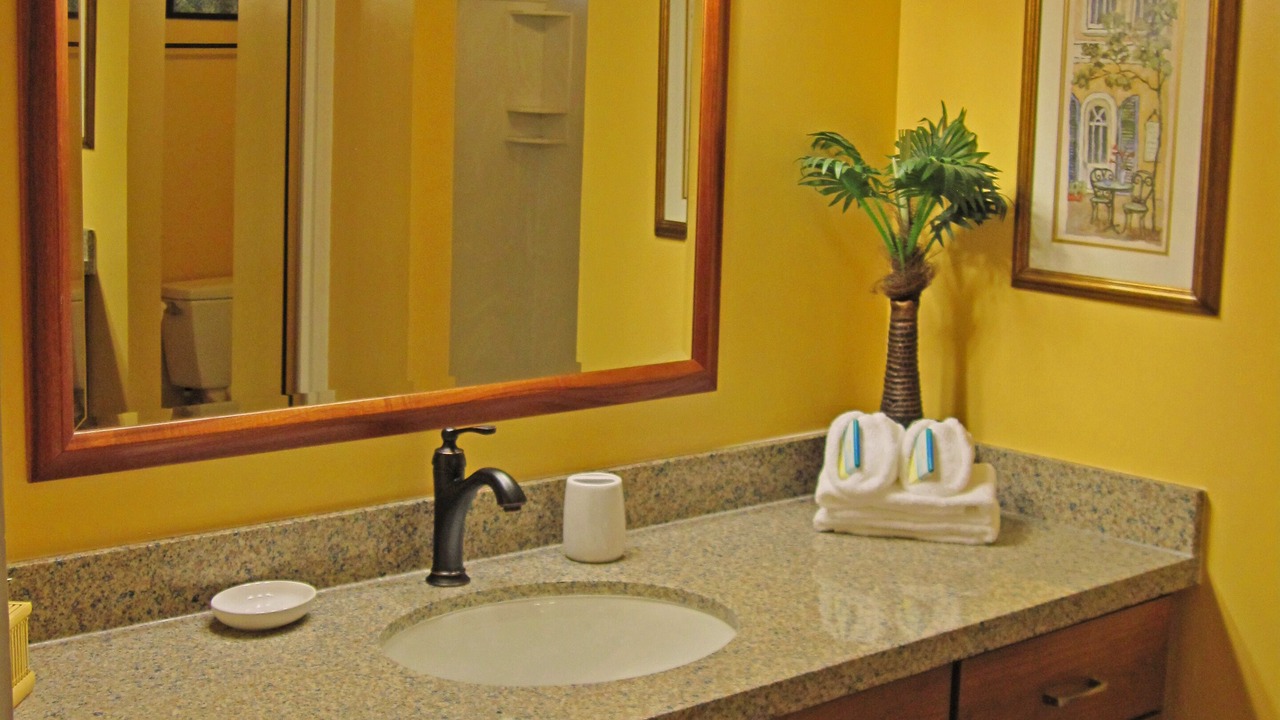 Photo of Bathroom in Napili