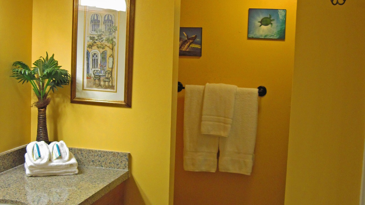 Photo of Bathroom in Napili