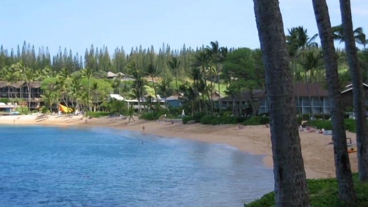 Photo of Others in Napili