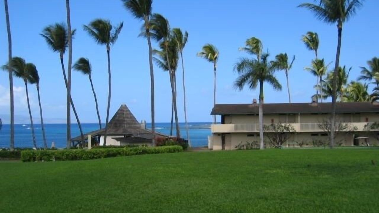 Photo of Others in Napili