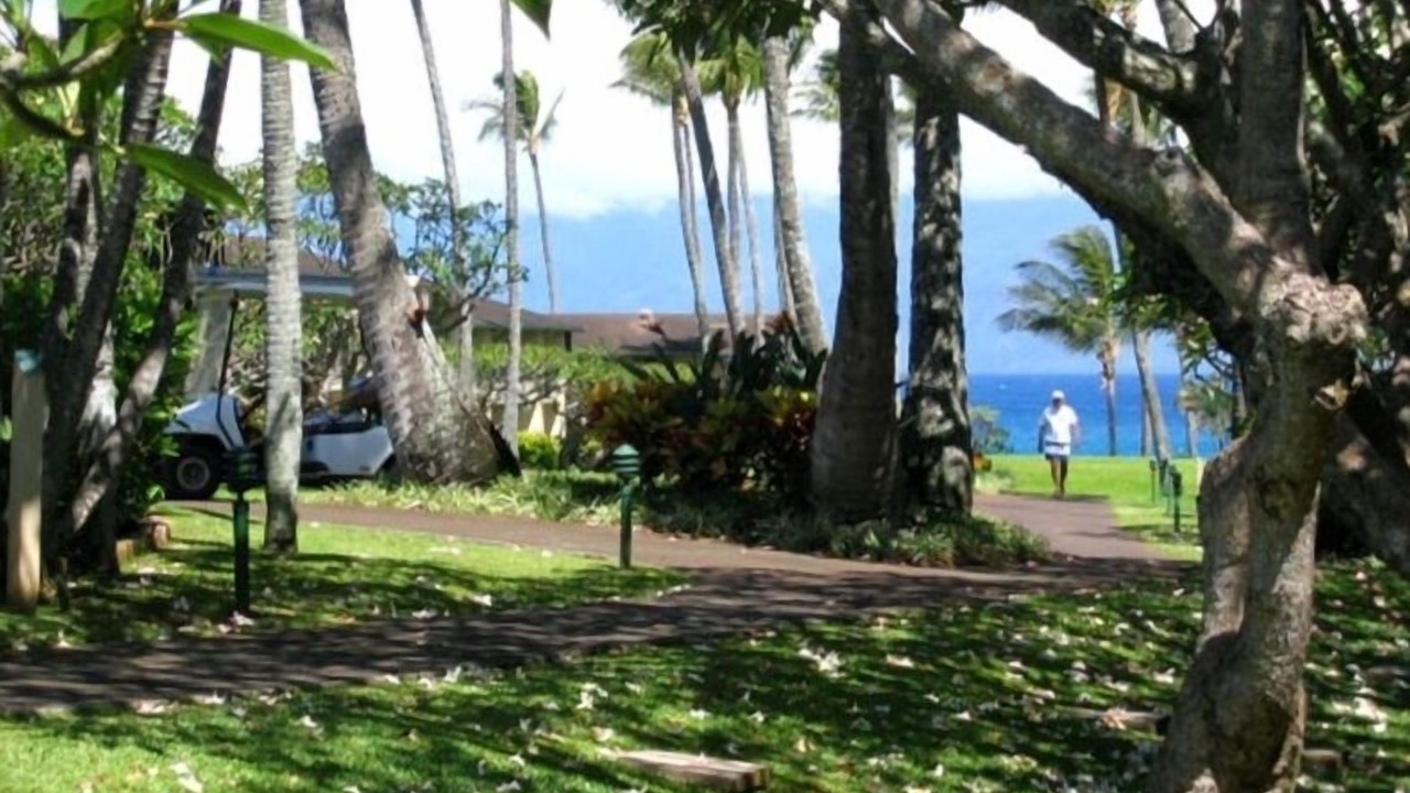 Photo of Others in Napili