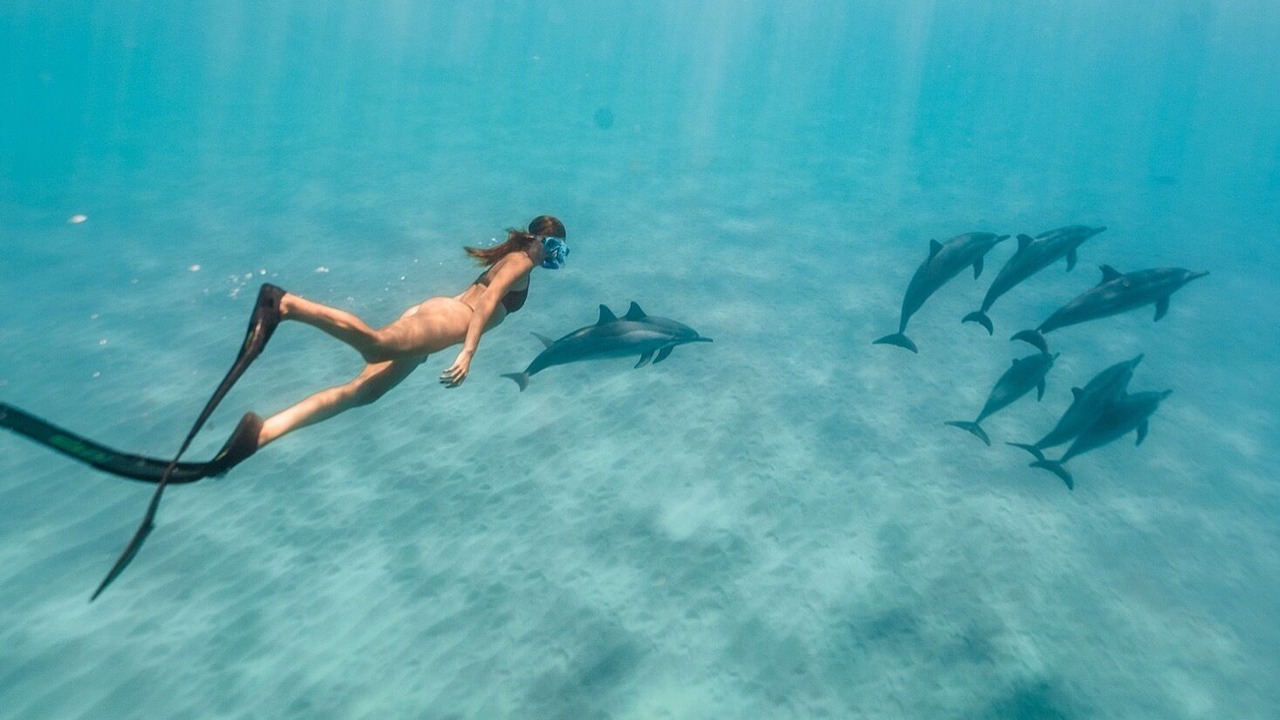 Photo of Others in Makaha Valley