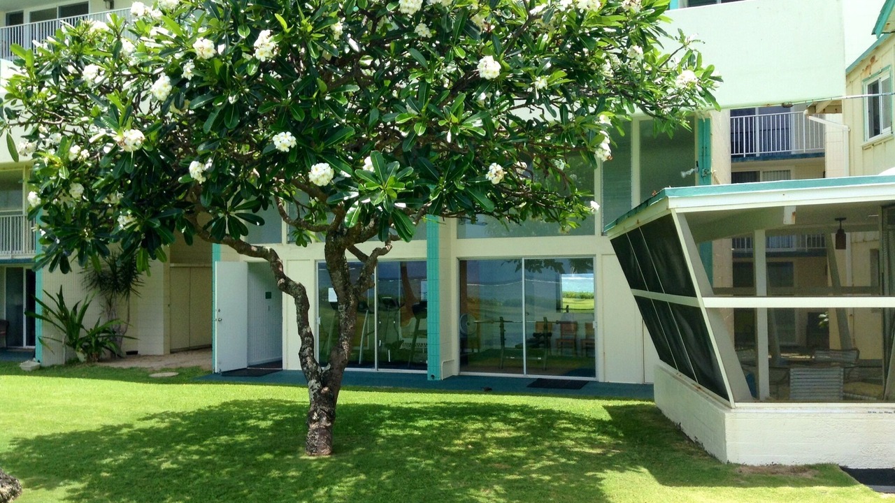 Photo of Bedroom in Punaluu