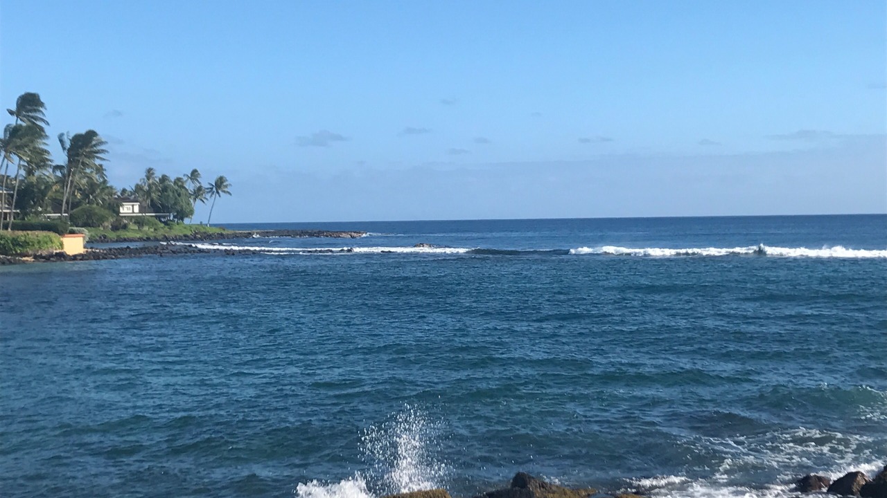 Photo of Others in Poipu