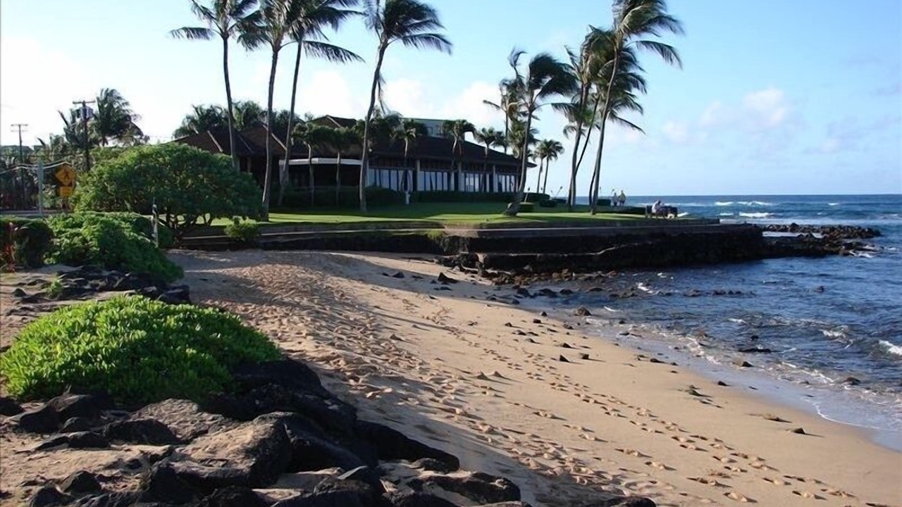 Photo of Others in Poipu