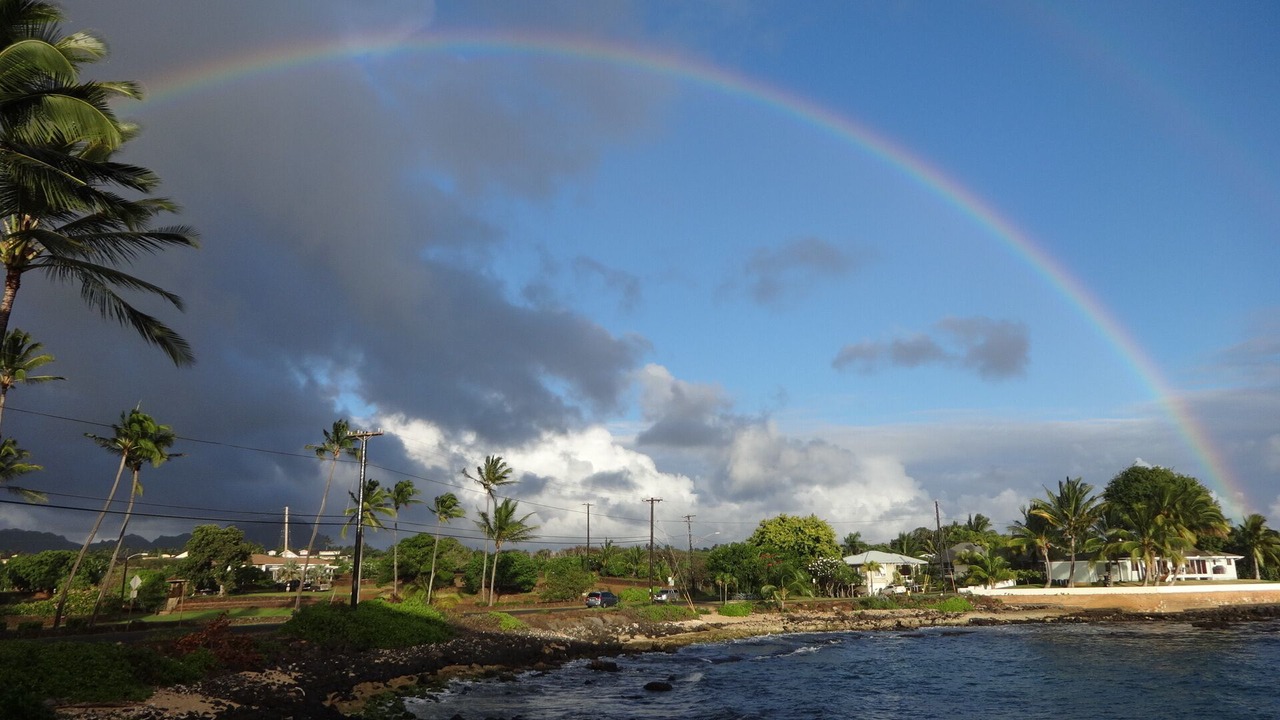 Photo of Others in Poipu