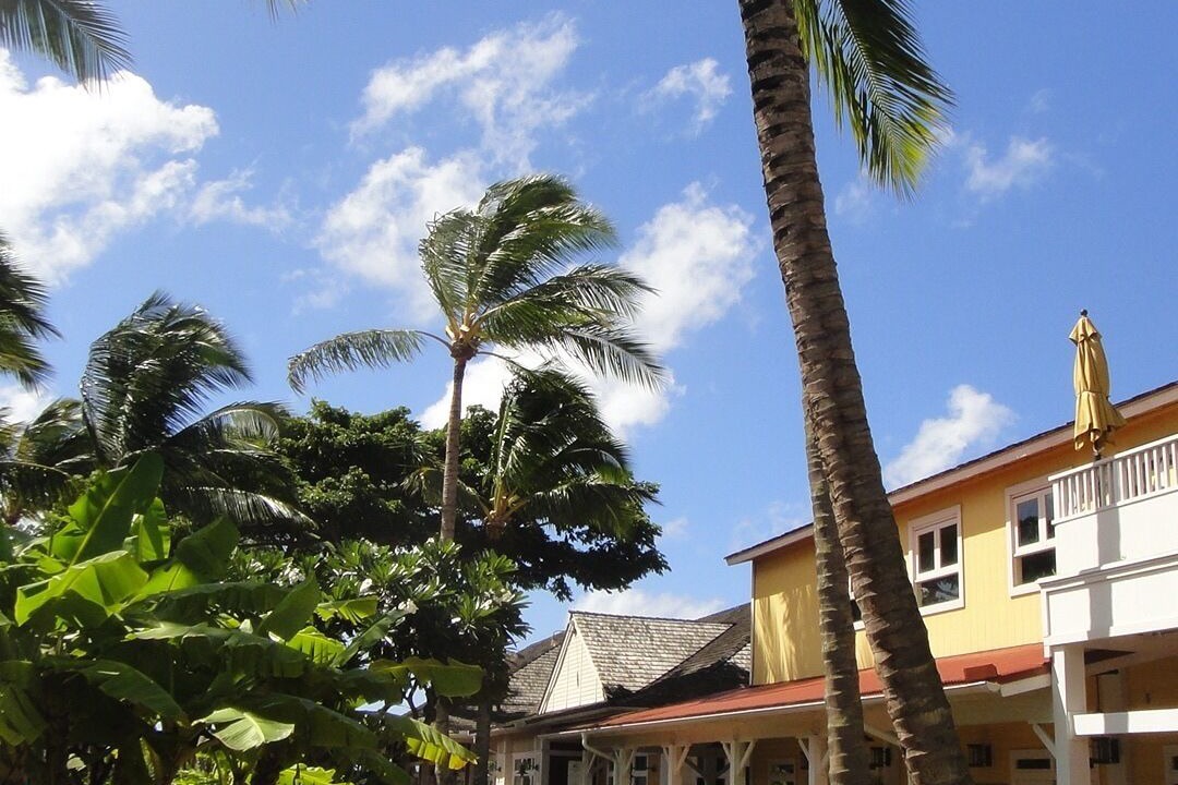 Photo of Others in Poipu