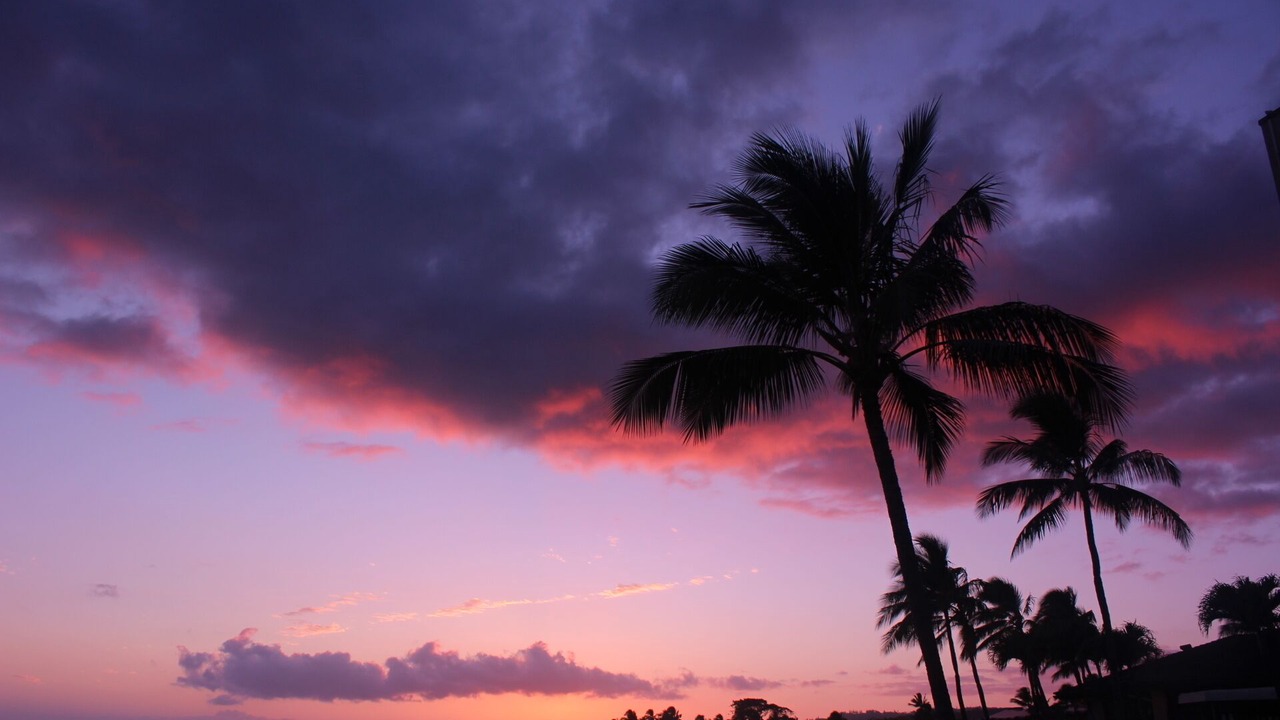 Photo of Others in Poipu