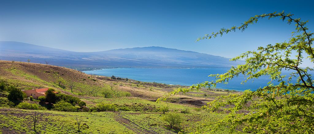 Photo of Others in Kohala Estates