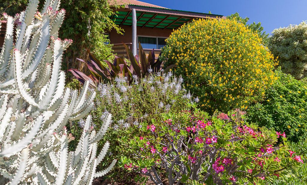 Photo of Outdoor in Kohala Estates