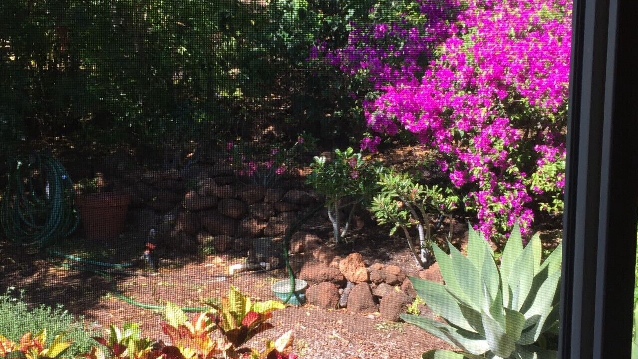 Photo of Others in Kohala Estates