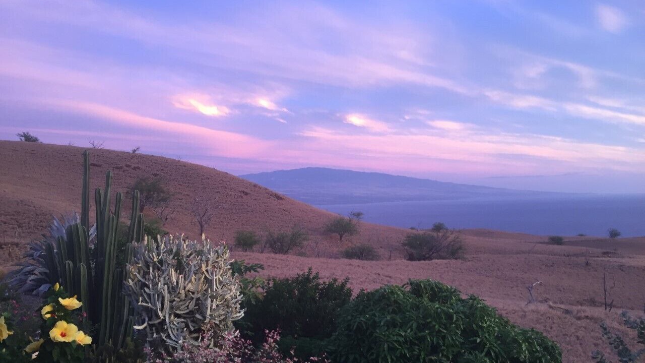 Photo of Others in Kohala Estates