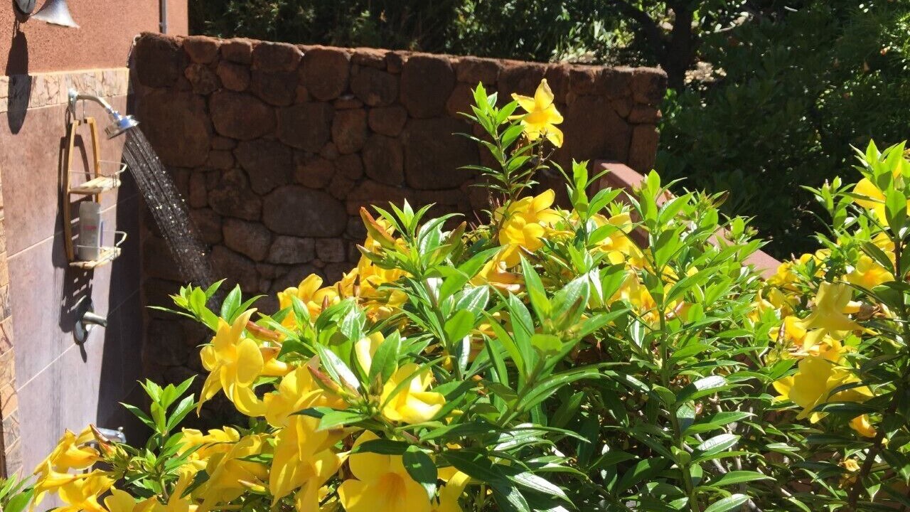 Photo of Outdoor in Kohala Estates