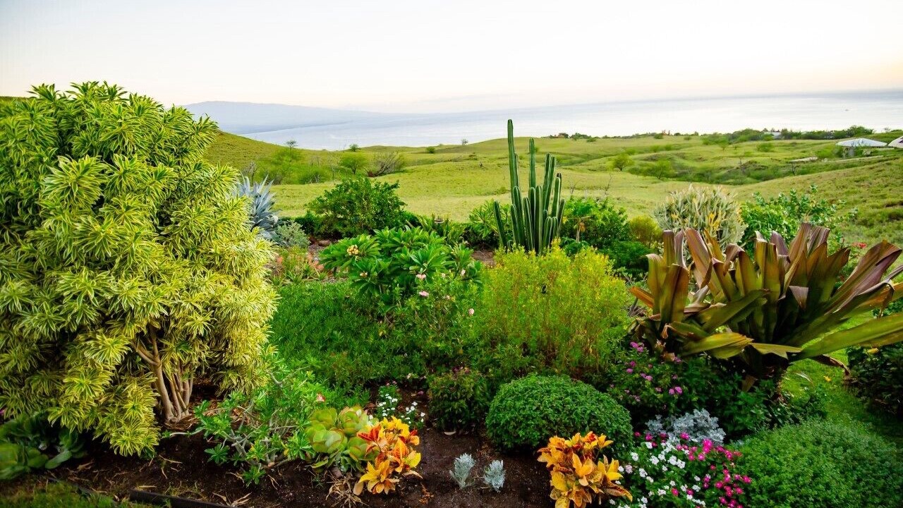 Photo of Others in Kohala Estates