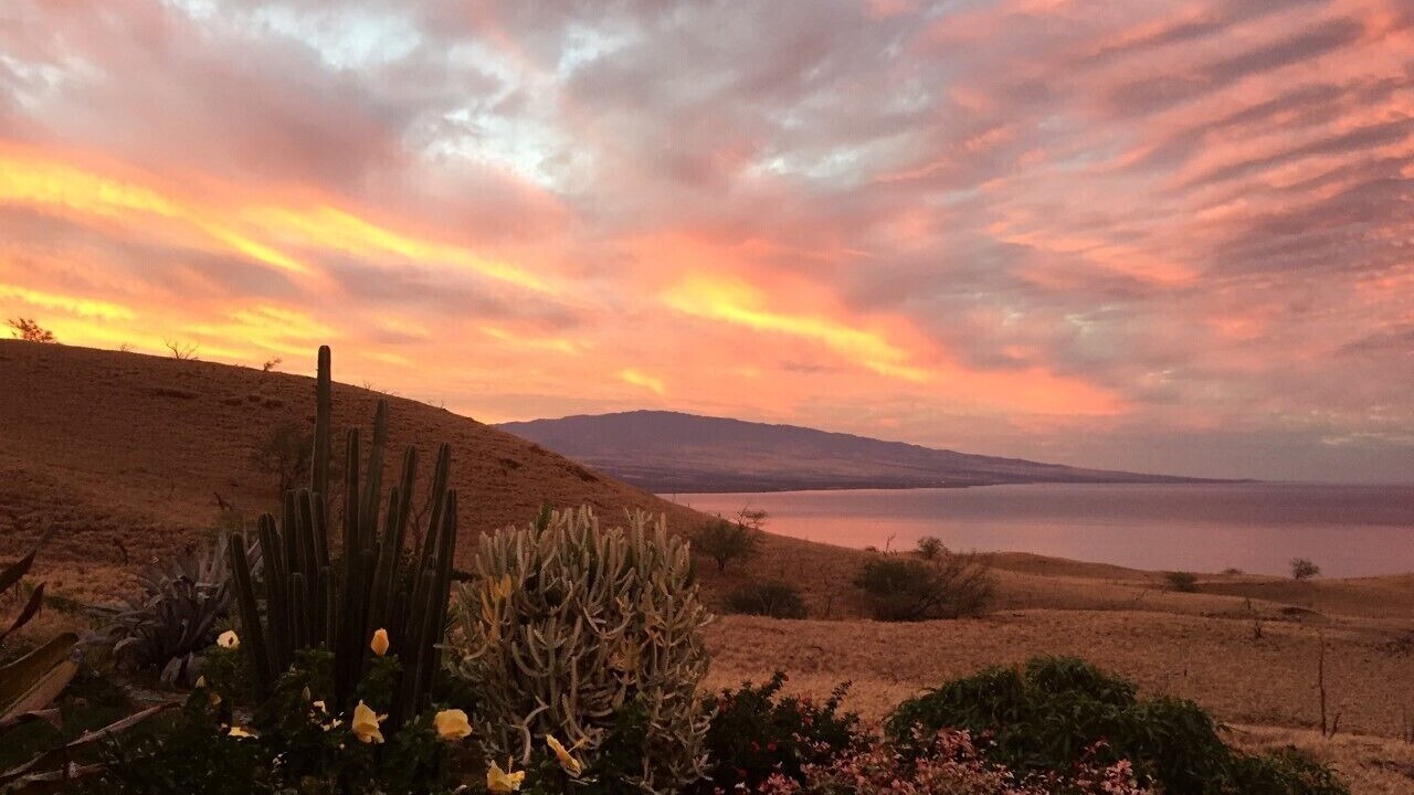 Photo of Others in Kohala Estates