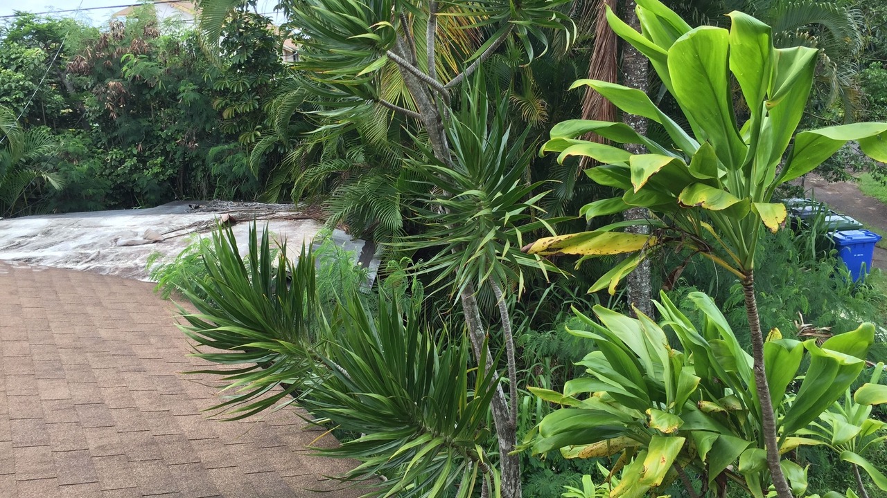Photo of Outdoor in Pupukea