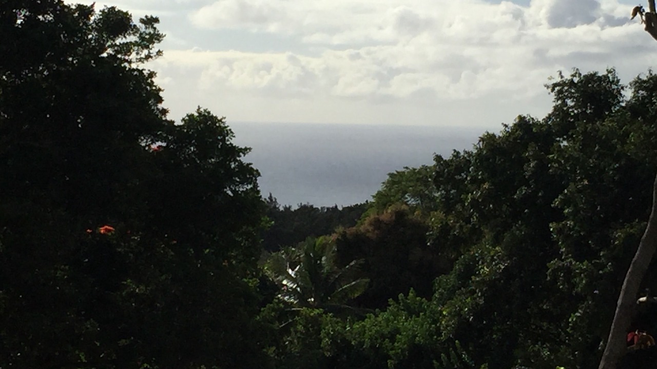 Photo of Others in Pupukea