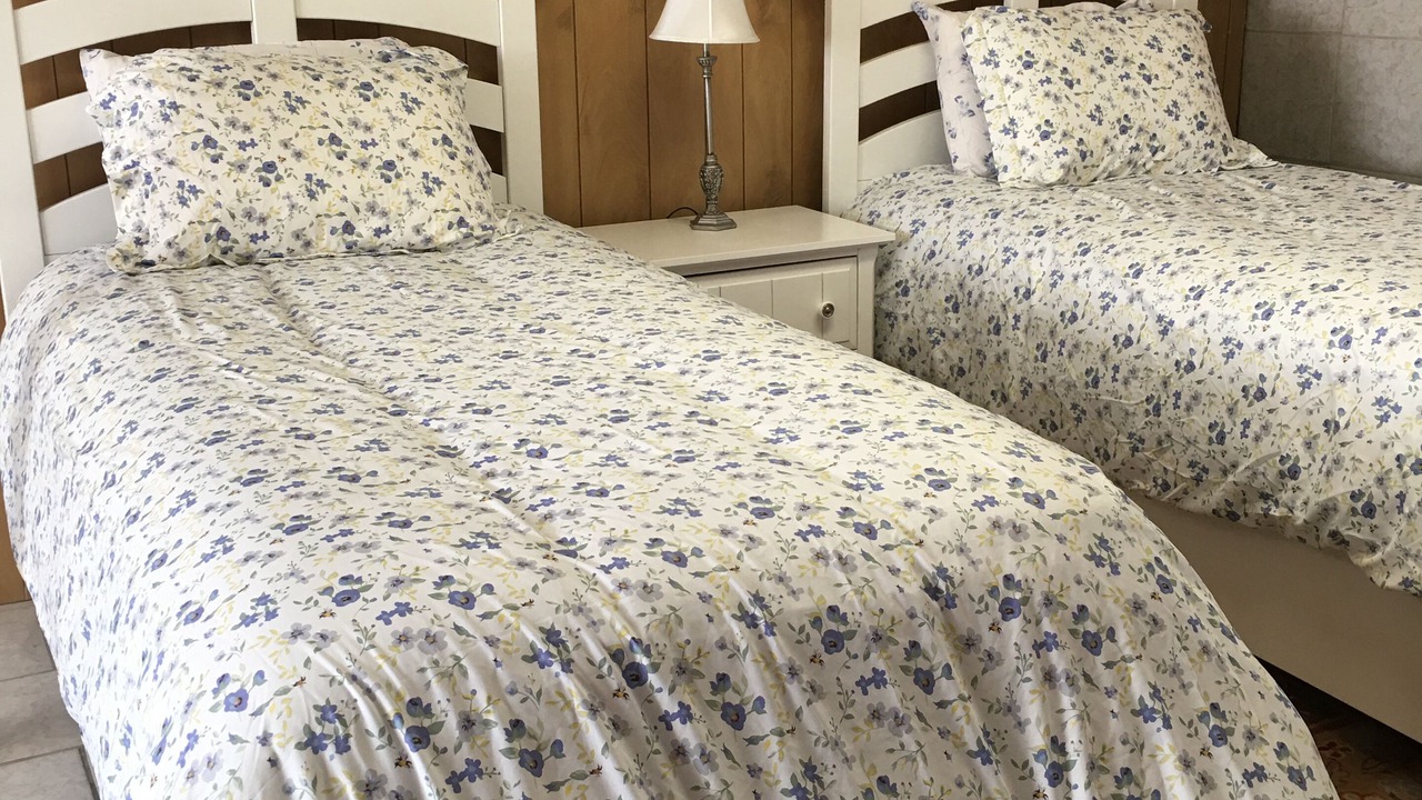 Photo of Bedroom in South Haven