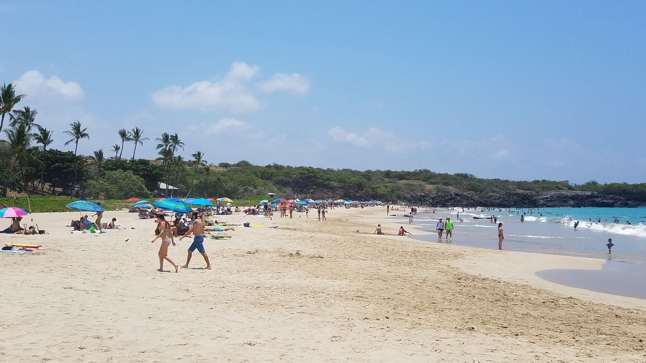 Photo of Others in Kamuela