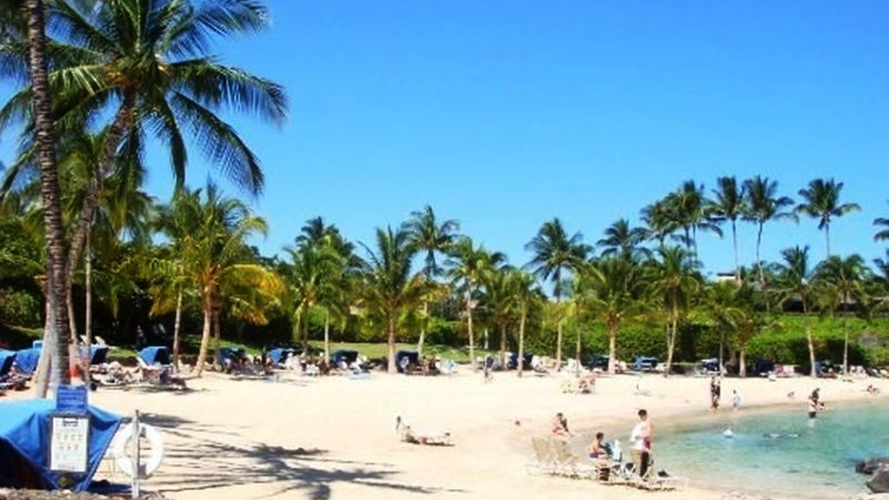 Photo of Others in Kamuela