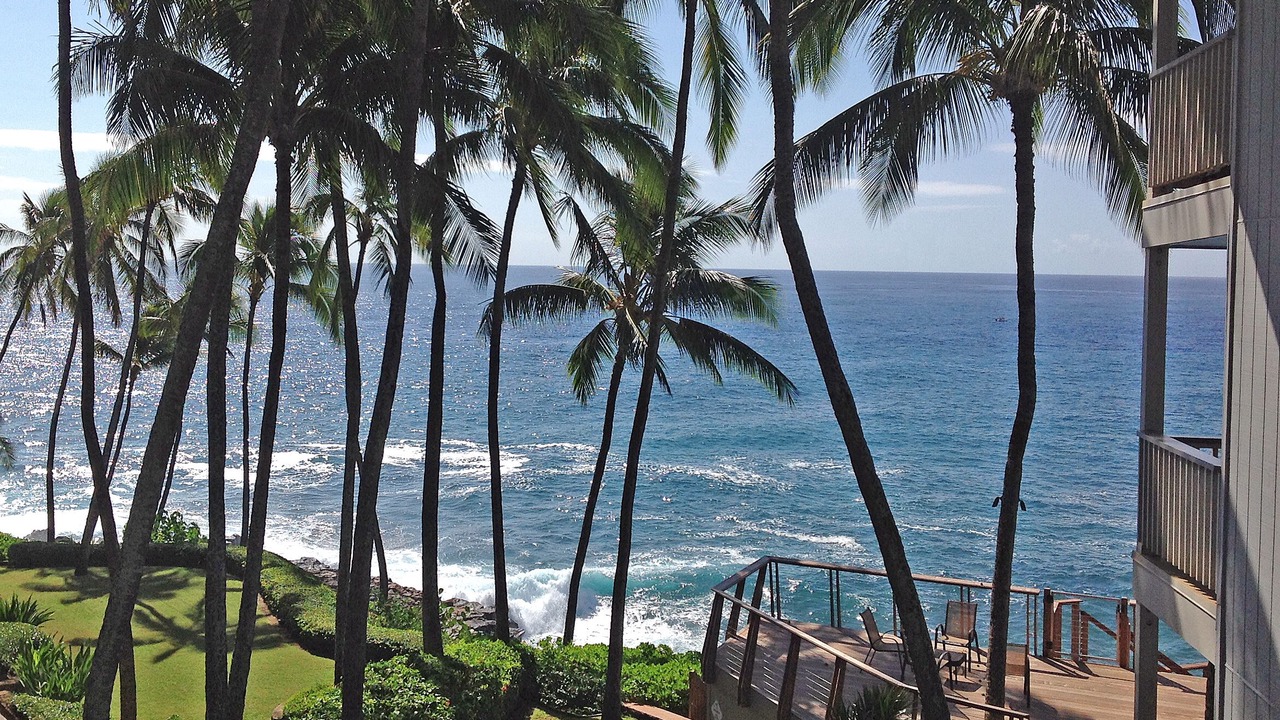 Photo of Outdoor in Poipu