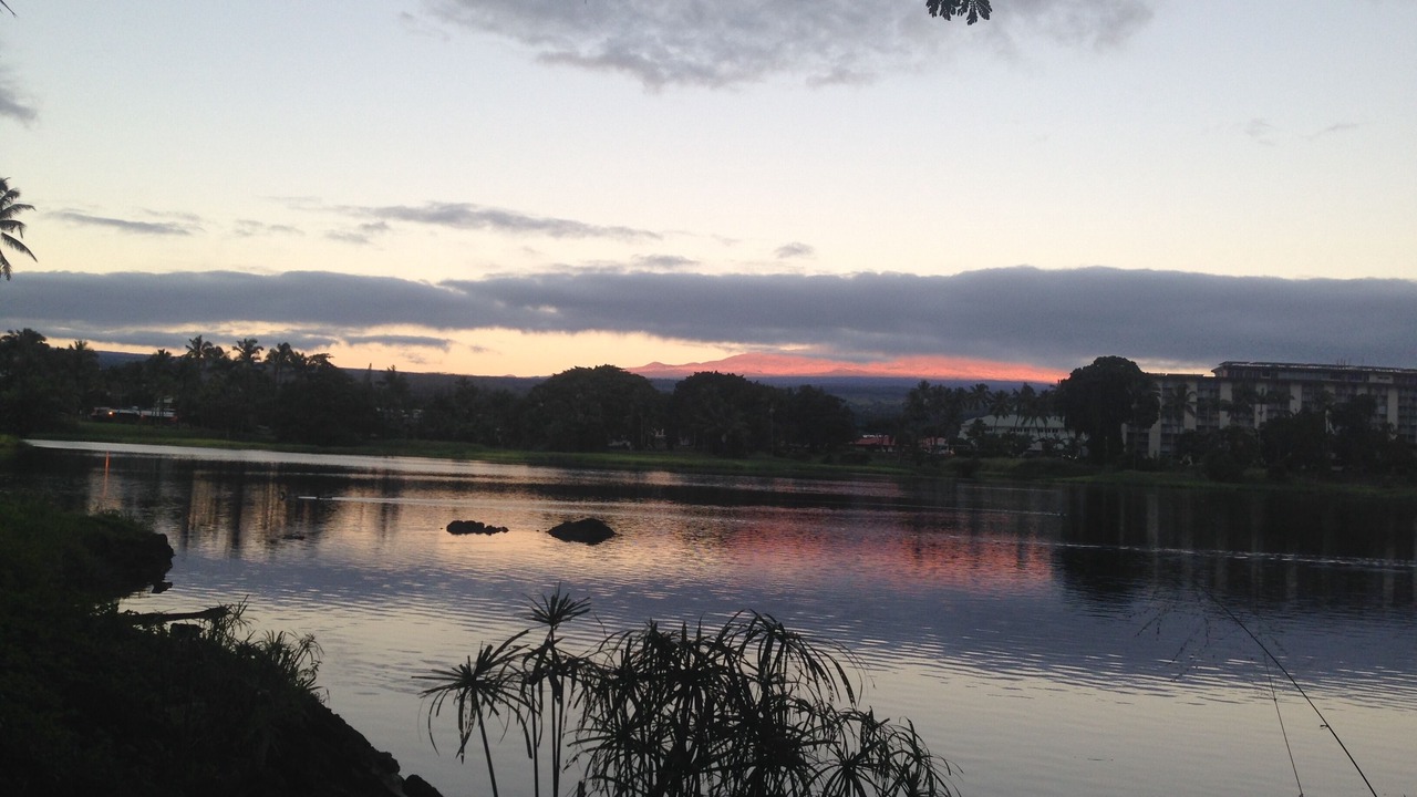 Photo of Others in Hilo