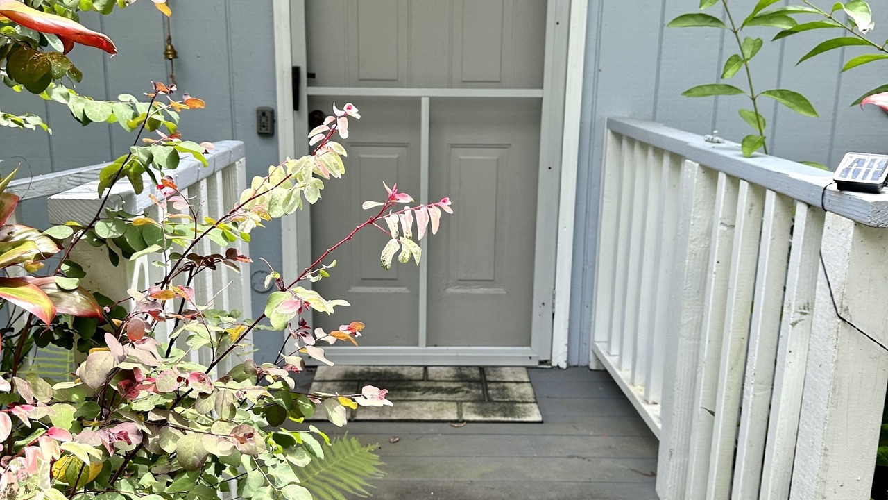 Photo of Outdoor in Hilo