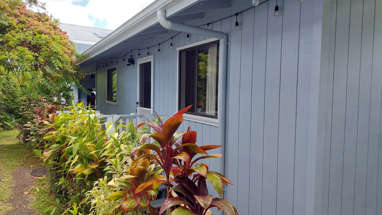 Photo of Outdoor in Hilo