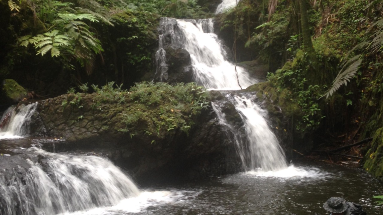 Photo of Outdoor in Hilo
