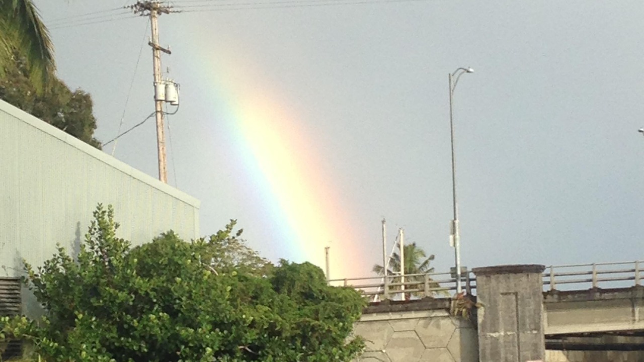 Photo of Others in Hilo