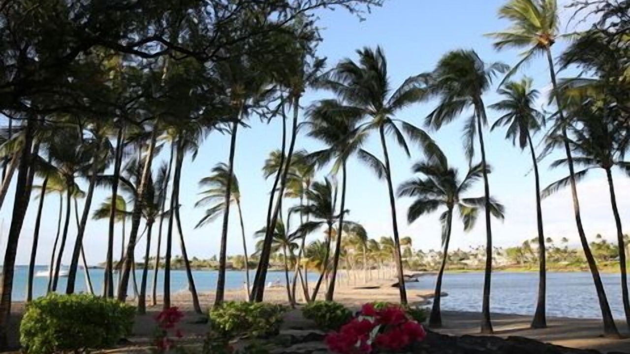 Photo of Others in Waikoloa