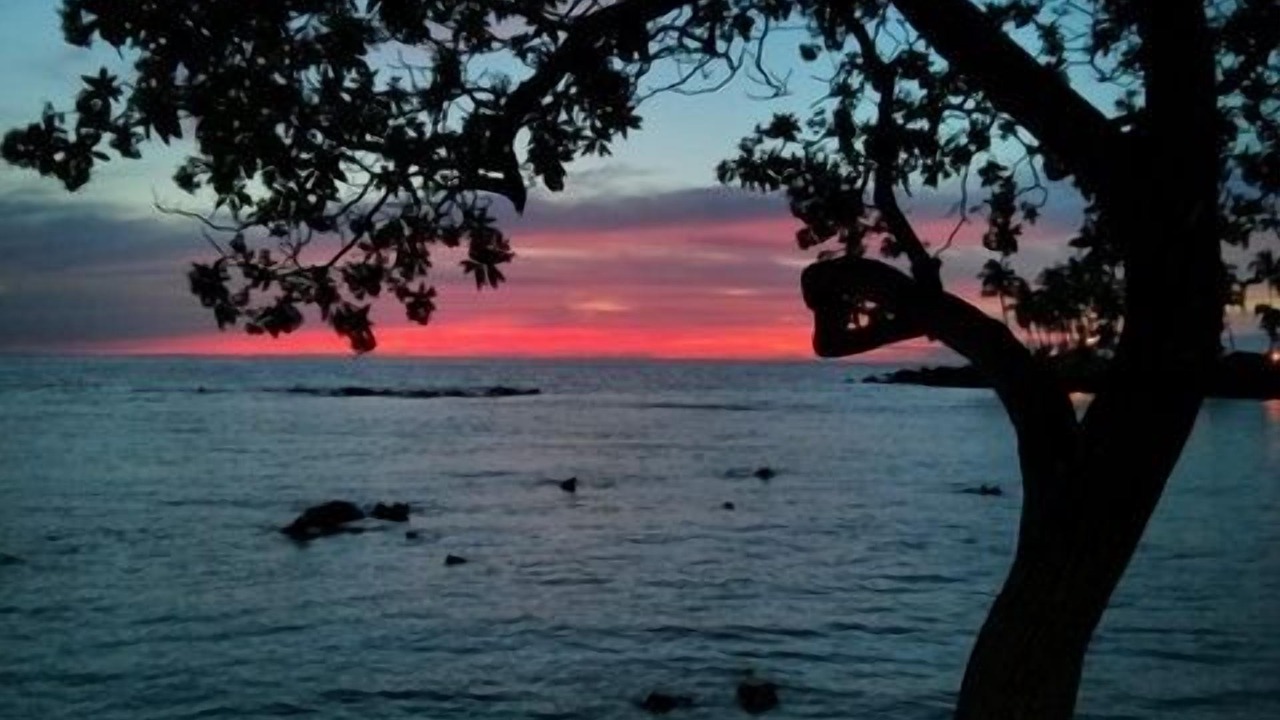 Photo of Others in Waikoloa