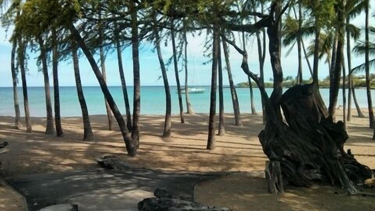 Photo of Others in Waikoloa